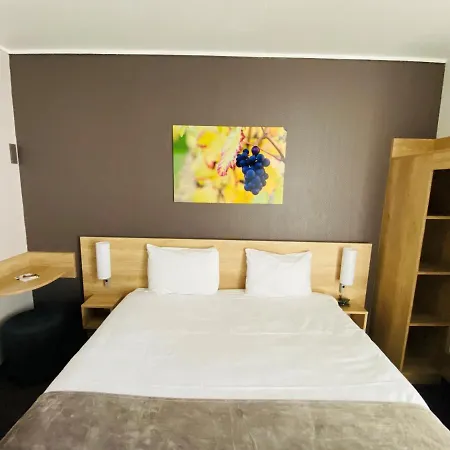 Hotel Wood Bordeaux Aeroport 2*