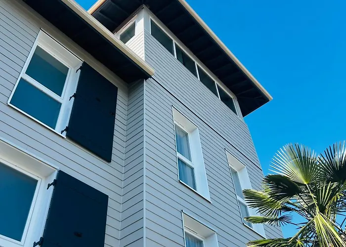 Wood Bordeaux Aeroport Mérignac